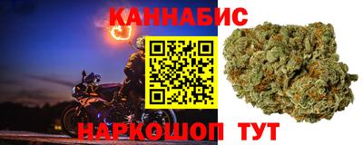 бошки Гусев