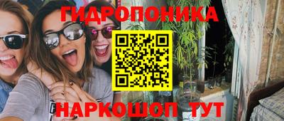 бошки Гусев